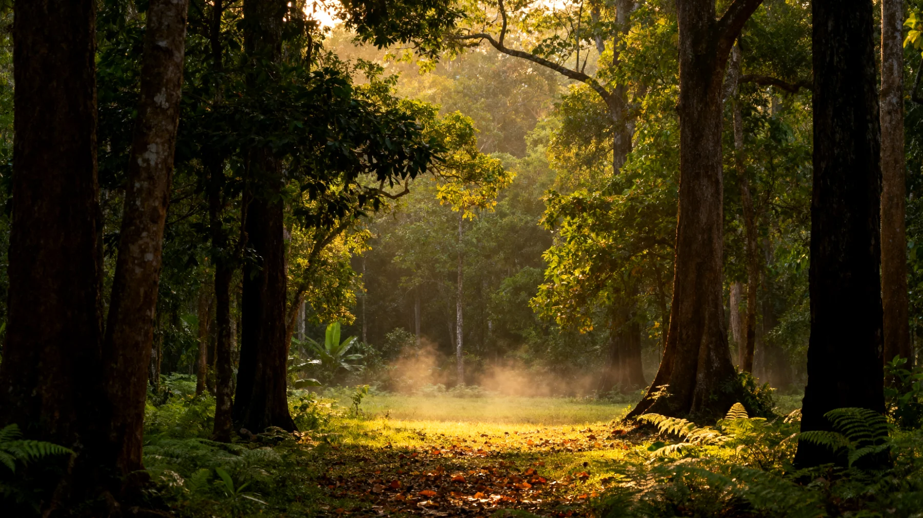 Parco Nazionale di Khao Yai"