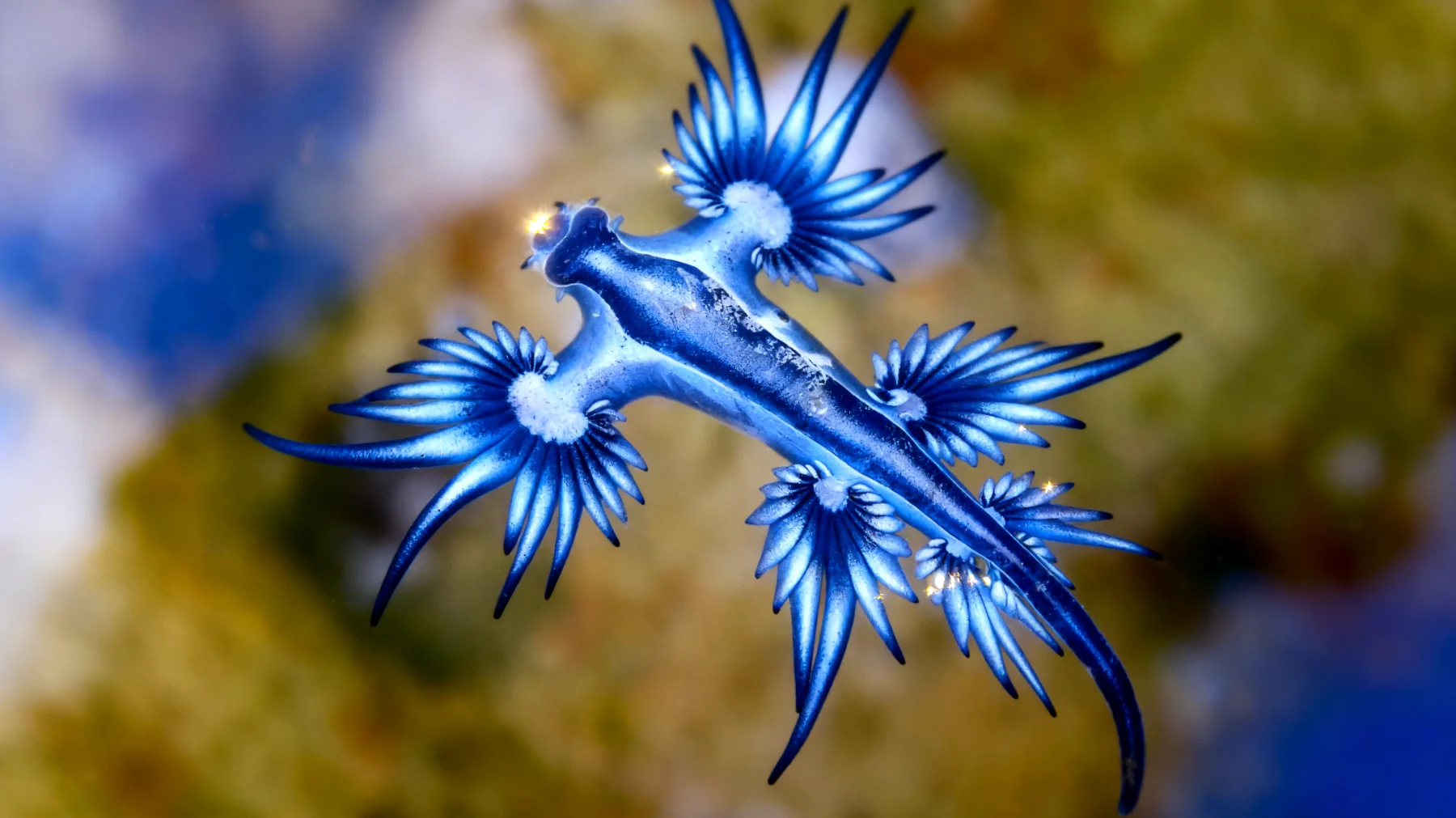 Beautiful 2026-03-05T12:34:32.536Z"